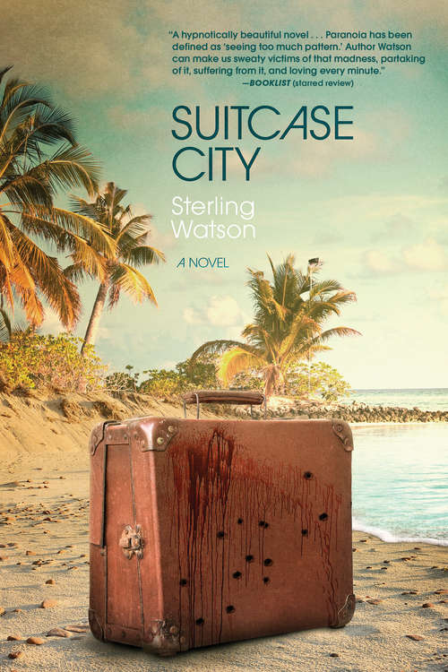 Book cover of Suitcase City