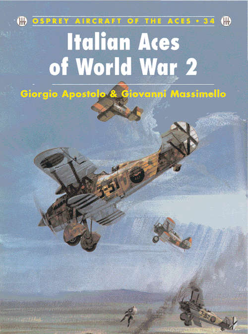 Book cover of Italian Aces of World War 2