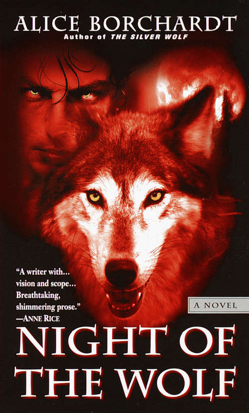 Book cover of Night of the Wolf