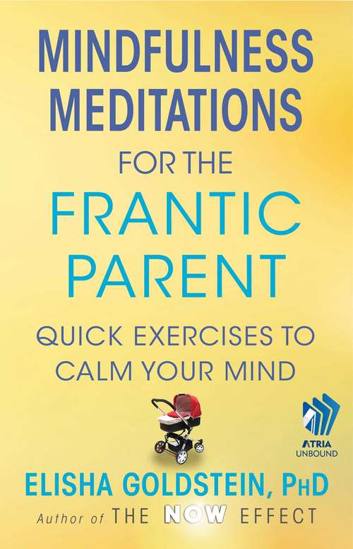 Book cover of Mindfulness Meditations for the Frantic Parent: The Now Effect