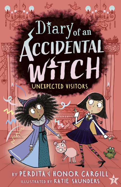 Book cover of Unexpected Visitors (Diary of an Accidental Witch)