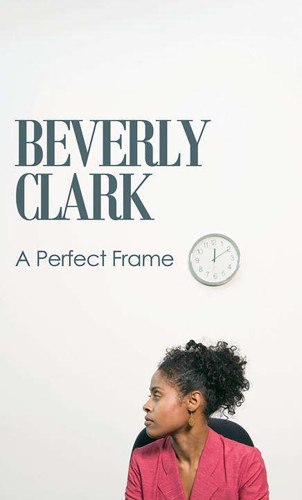 Book cover of The Perfect Frame
