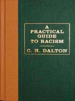 Book cover of A Practical Guide to Racism