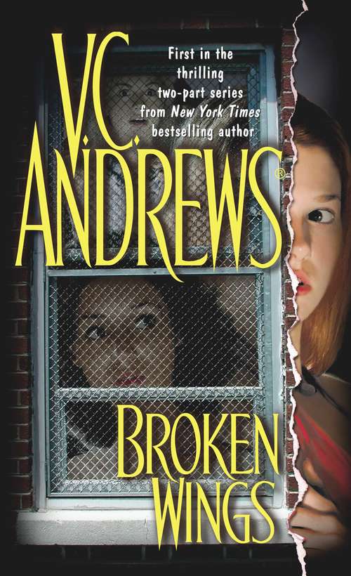 Book cover of Broken Wings (Broken Wings #1)