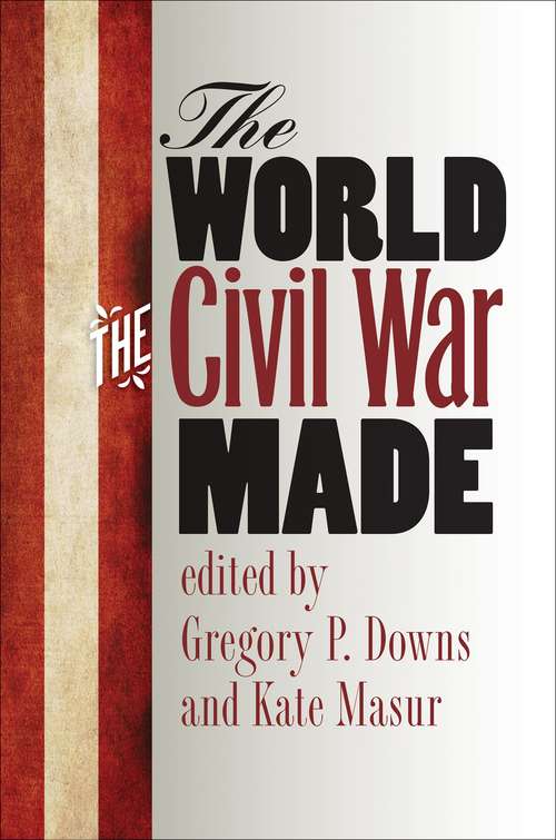 Book cover of The World the Civil War Made