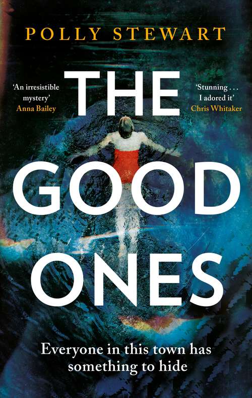 Book cover of The Good Ones: A gripping, beautifully written mystery, perfect to escape into this summer