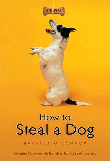 Book cover of How to Steal a Dog