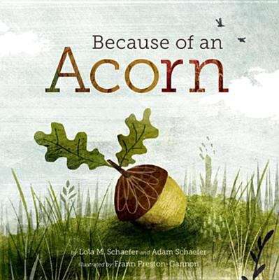 Book cover of Because of an Acorn