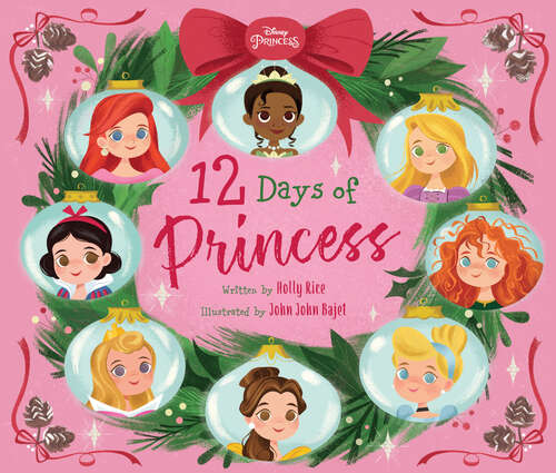 Book cover of 12 Days of Princess