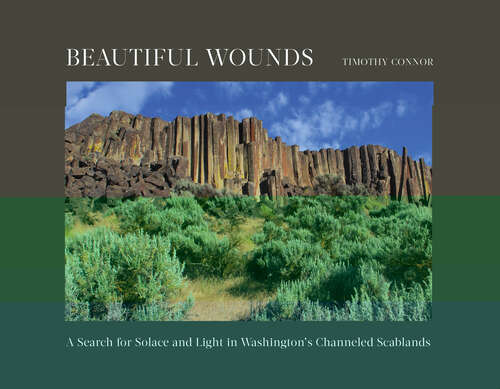 Book cover of Beautiful Wounds: A Search For Solace And Light In Washington's Channeled Scablands