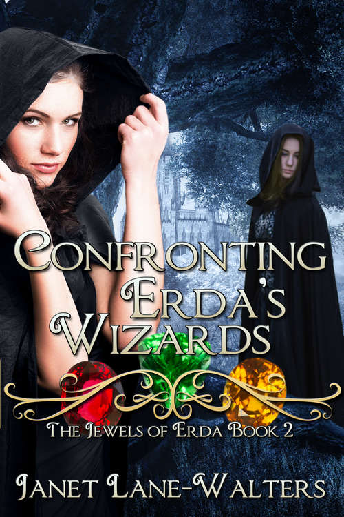 Confronting Erda's Wizards: The Jewels of Erda (The Jewels of Erda #2)