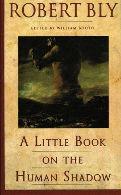 Book cover of A Little Book on the Human Shadow