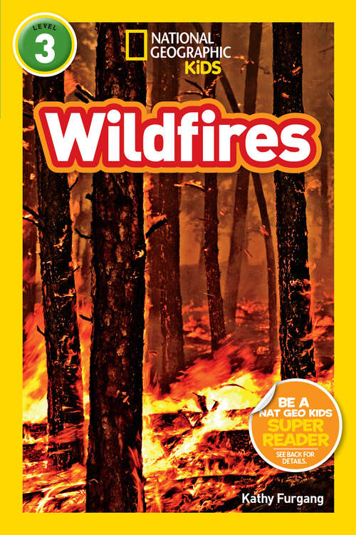 Book cover of Wildfires (Readers)