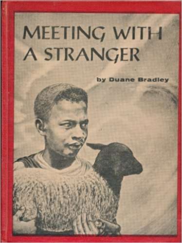 Book cover of Meeting with a Stranger