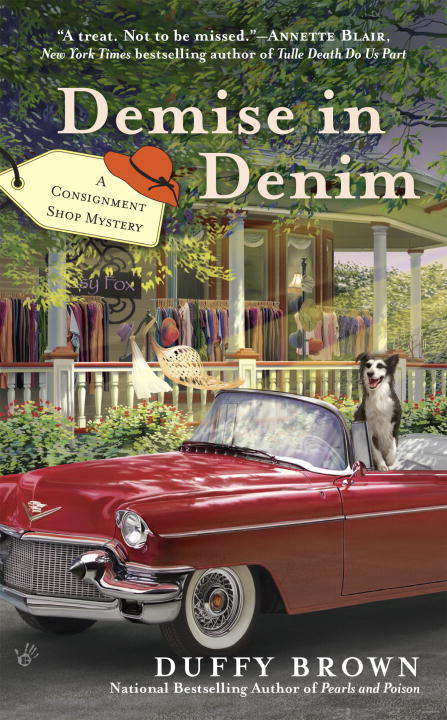 Book cover of Demise in Denim