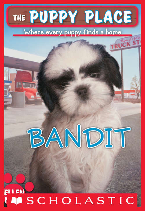Book cover of The Puppy Place #24: Bandit