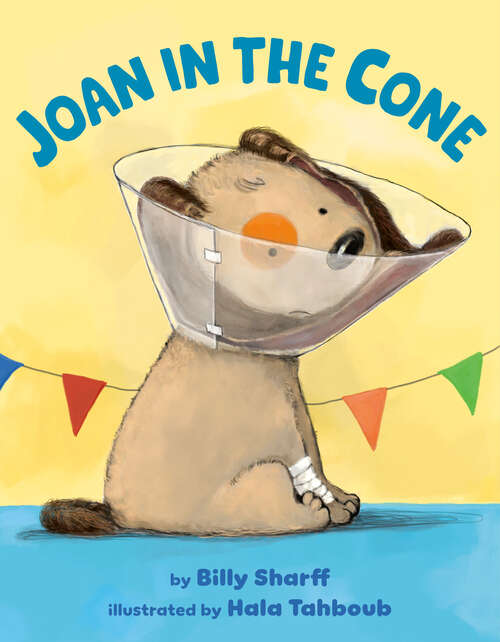 Book cover of Joan in the Cone