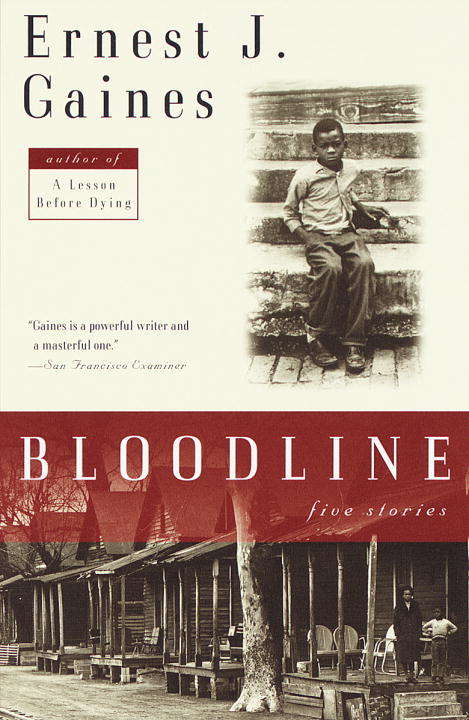 Book cover of Bloodline