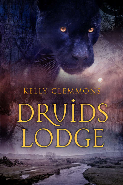 Book cover of Druids Lodge