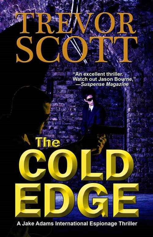 Book cover of The Cold Edge