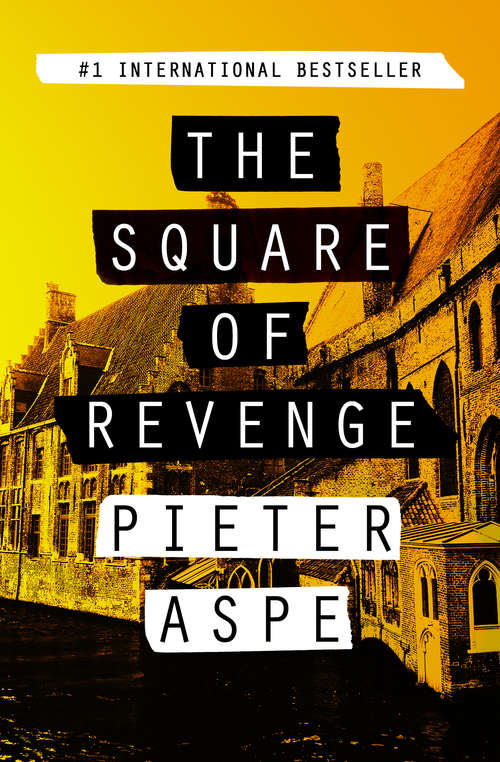 Book cover of The Square of Revenge