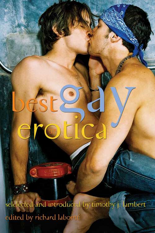 Book cover of Best Gay Erotica 2009