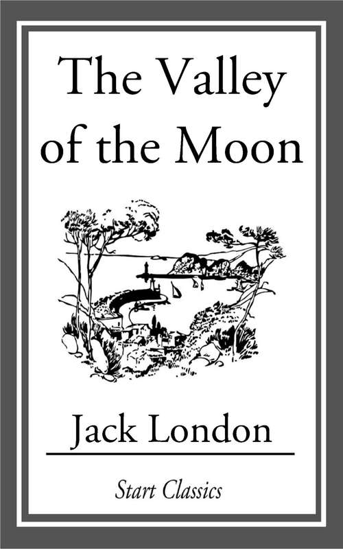 Book cover of The Valley of the Moon