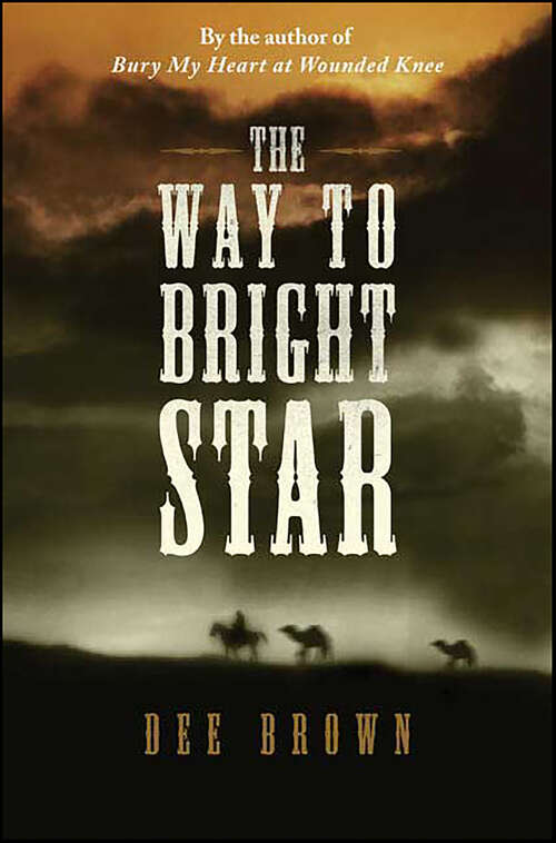 Book cover of The Way To Bright Star