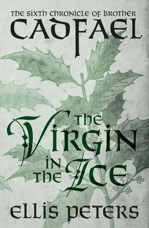 Book cover of The Virgin in the Ice