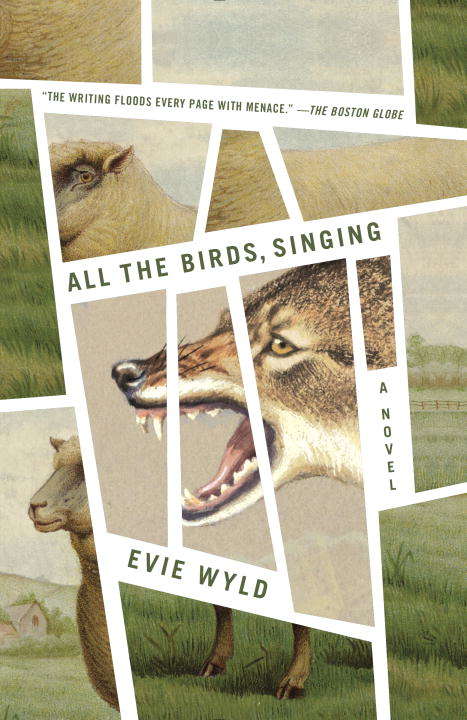 Book cover of All the Birds, Singing