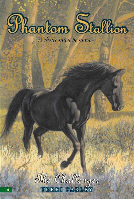 Book cover of Phantom Stallion #6: The Challenger