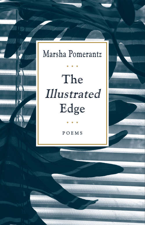 Book cover of The Illustrated Edge