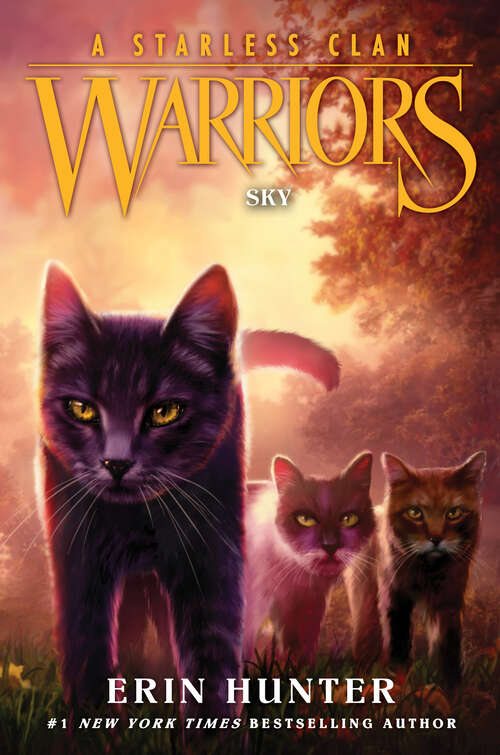 Book Cover: Sky (Warriors: A Starless Clan #2) by Erin Hunter
