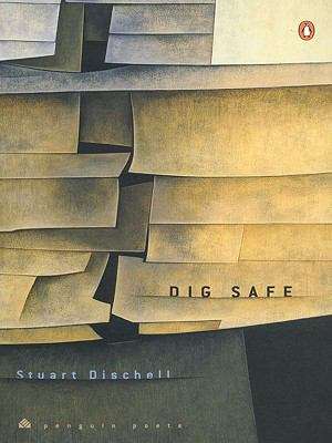 Book cover of Dig Safe