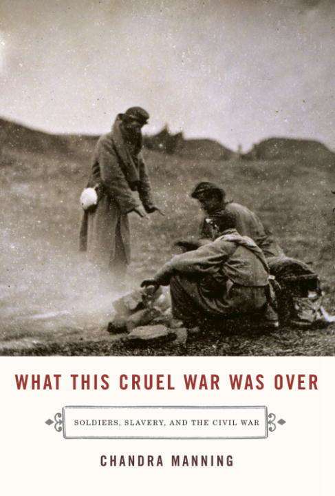 Book cover of What this Cruel War was Over