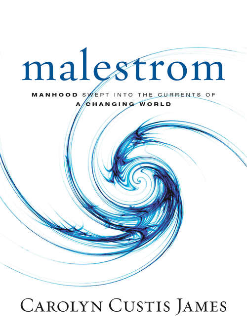 Book cover of Malestrom: Manhood Swept into the Currents of a Changing World