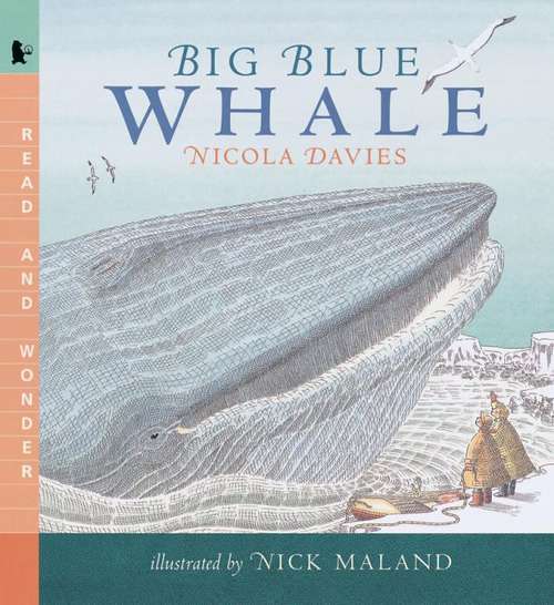 Book cover of Big Blue Whale (Read and Wonder)