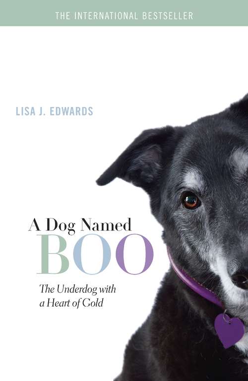 Book cover of A Dog Named Boo