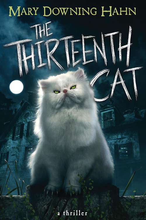 Book cover of The Thirteenth Cat