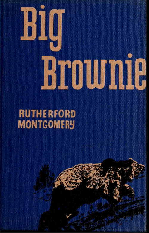 Book cover of Big Brownie