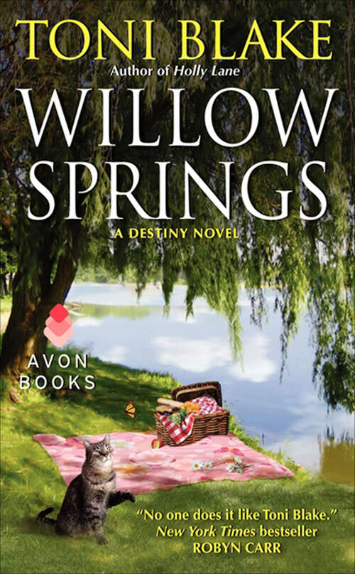 Book cover of Willow Springs