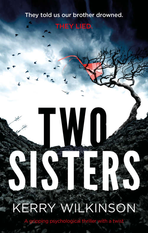 Book cover of Two Sisters: A gripping psychological thriller with a shocking twist: A Gripping Psychological Thriller With A Shocking Twist