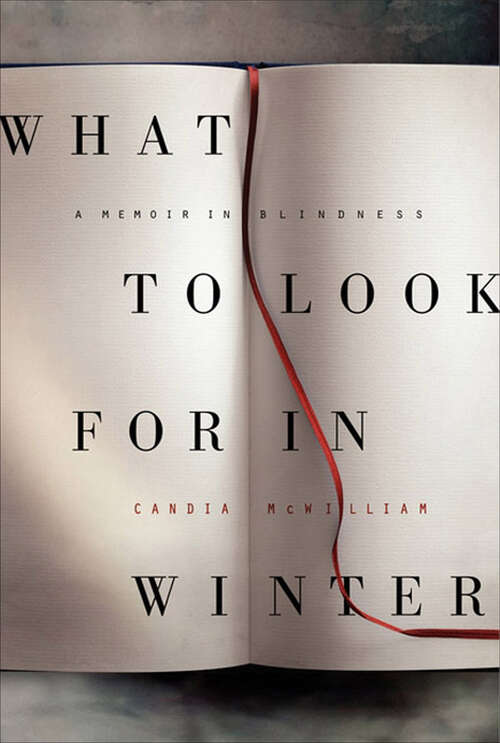 Book cover of What to Look for in Winter: A Memoir in Blindness
