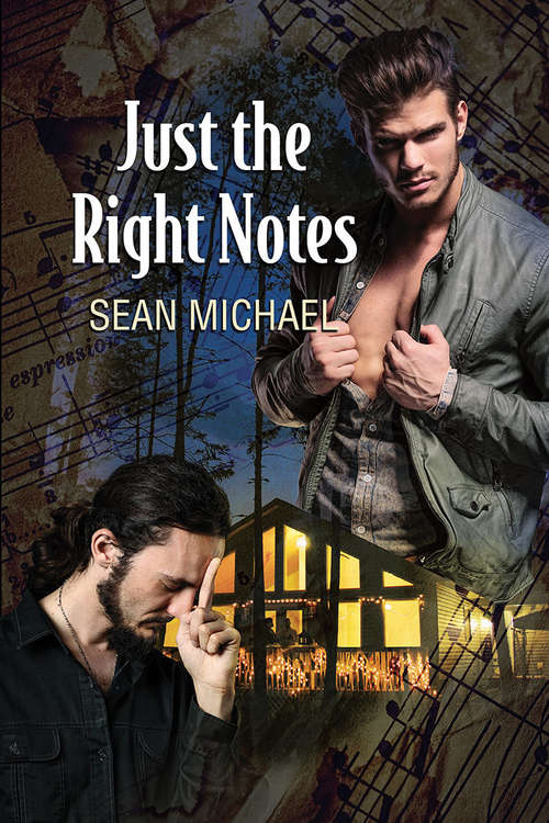 Book cover of Just the Right Notes