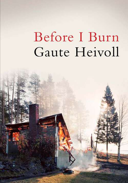 Book cover of Before I Burn: A Novel