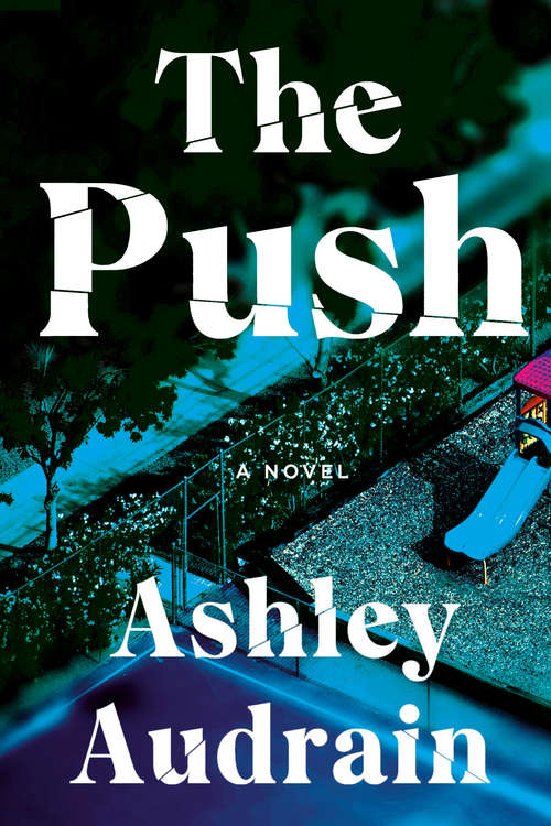 Book cover of The Push: A Novel