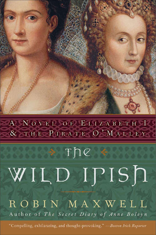 Book cover of The Wild Irish