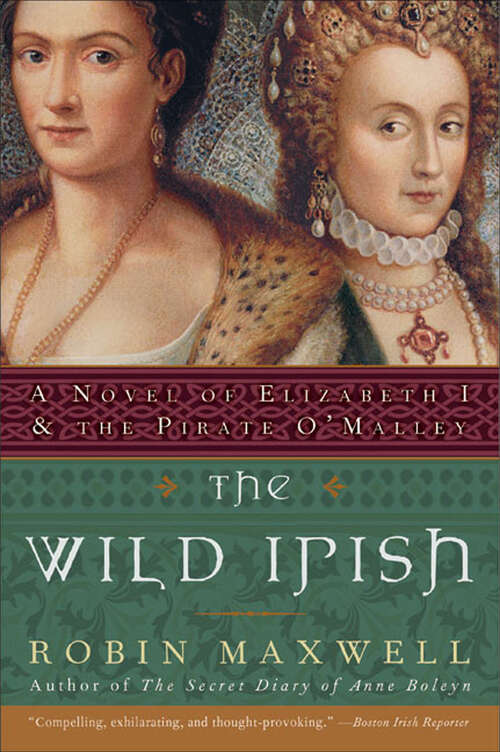 Book cover of The Wild Irish: A Novel of Elizabeth I and the Pirate O'Malley