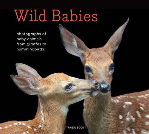 Book cover of Wild Babies: Photographs of Baby Animals from Giraffes to Hummingbirds
