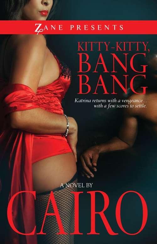 Book cover of Kitty-Kitty, Bang-Bang: A Novel